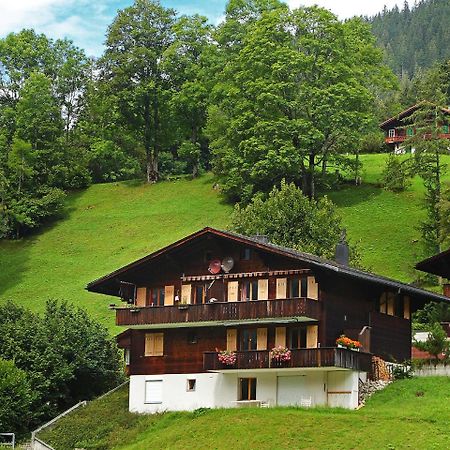 Apartment Chalet Blaugletscher By Interhome Grindelwald Kültér fotó