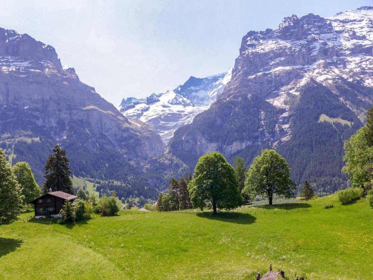 Apartment Chalet Blaugletscher By Interhome Grindelwald Kültér fotó