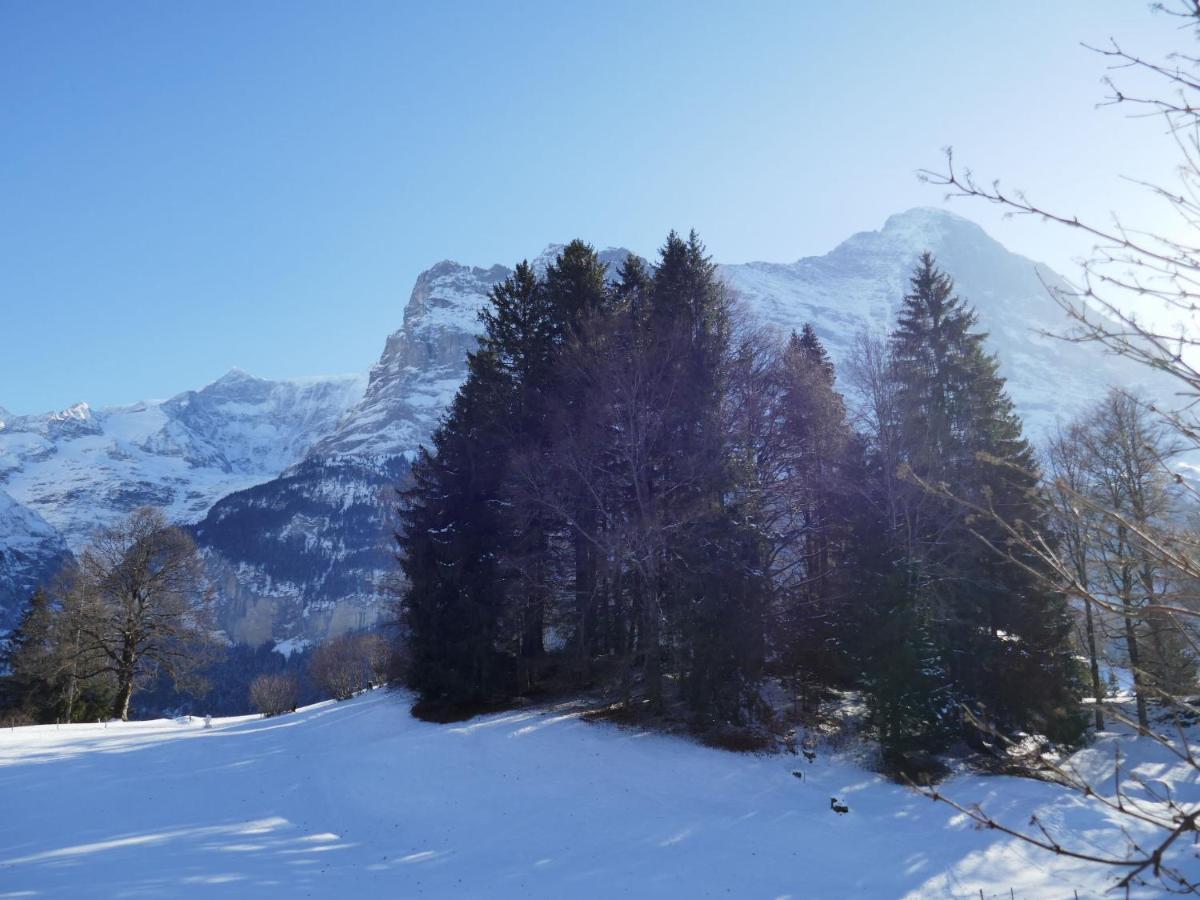 Apartment Chalet Blaugletscher By Interhome Grindelwald Kültér fotó