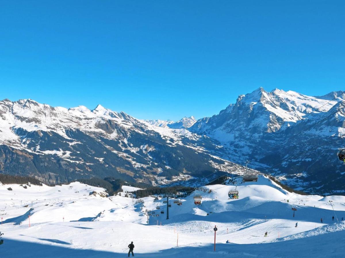 Apartment Chalet Blaugletscher By Interhome Grindelwald Kültér fotó